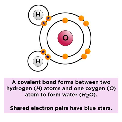 Polar vs. Nonpolar Bonds — Overview & Examples - Expii