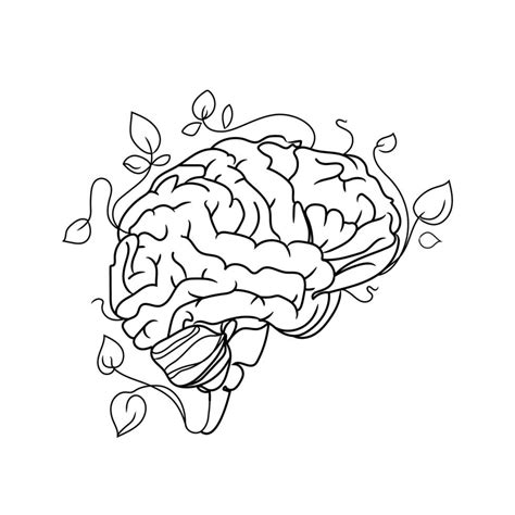 Human brain vector line art illustration isolated on white background ...