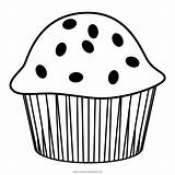 Muffins Coloring Page Home Sketch sketch template