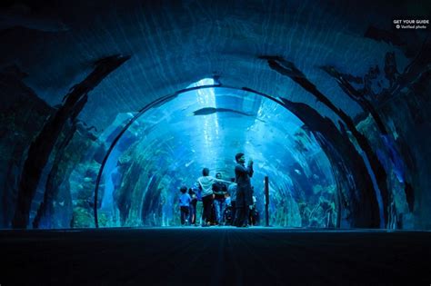 Dubai Aquarium and Burj Khalifa Combo Tickets Deals 2019 | Tripindicator