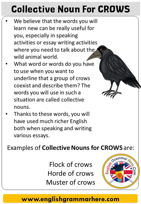 Collective Noun For Crows, Collective Nouns List Crows Table of ...