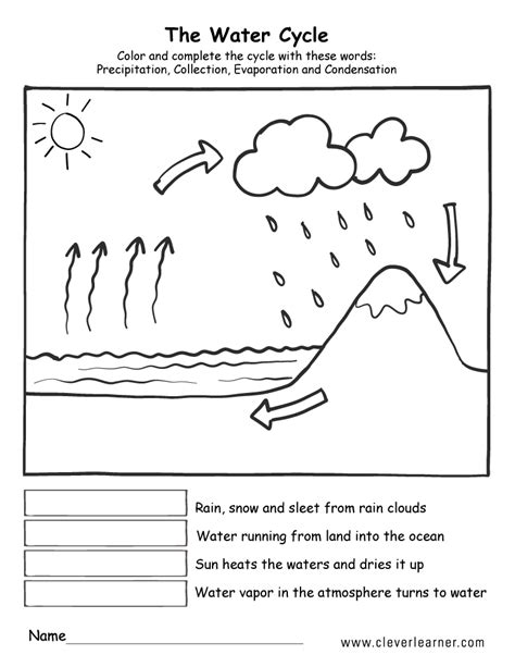 pictures label water cycle worksheet toribeedesign | Water cycle, Water cycle worksheet, Water ...