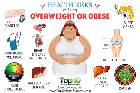 What Are the Main Causes of Obesity? - eMediHealth