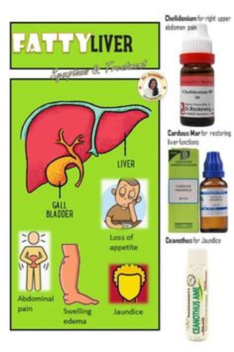 Best way to get rid of Fatty liver naturally in 2021 | Homeopathy medicine, Fatty liver remedies ...