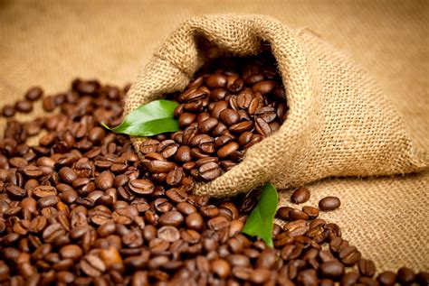 Learn about coffee - Green Bean Coffee Roastery