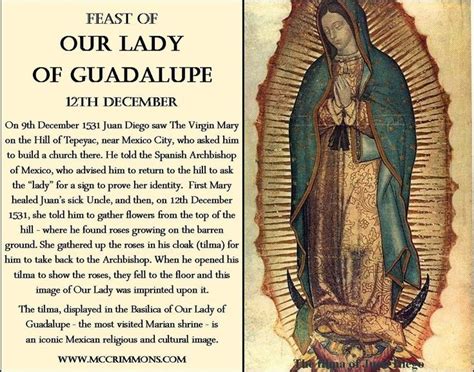 Our Lady of Guadalupe. Infographic (Feast Day: December 12th) | Guadalupe, Blessed virgin mary ...