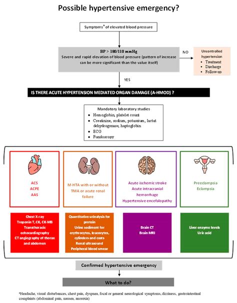 JCM | Free Full-Text | The Management of Hypertensive Emergencies—Is ...