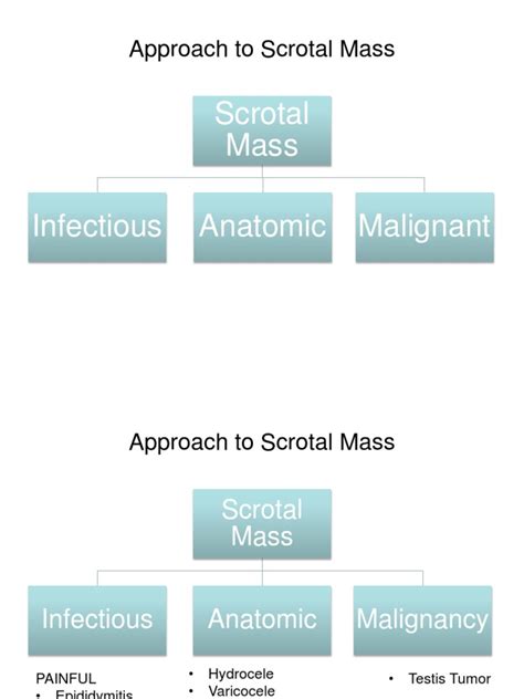 scrotal-masses-testicular-cancer | PDF | Clinical Medicine | Sexual Anatomy