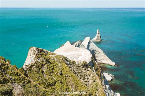 Cape Kidnappers Walking Track: Visit a Gannet Bird Colony — LAIDBACK TRIP