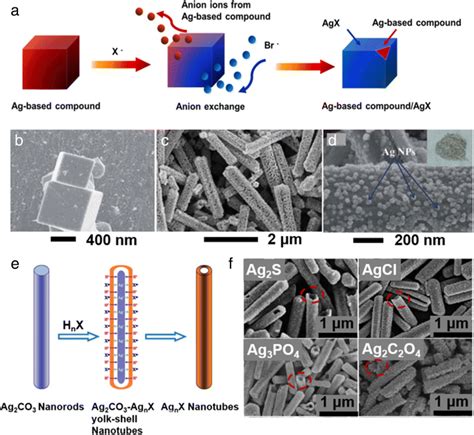 a Schematic diagram of the proposed basic anion exchange mechanism of... | Download Scientific ...