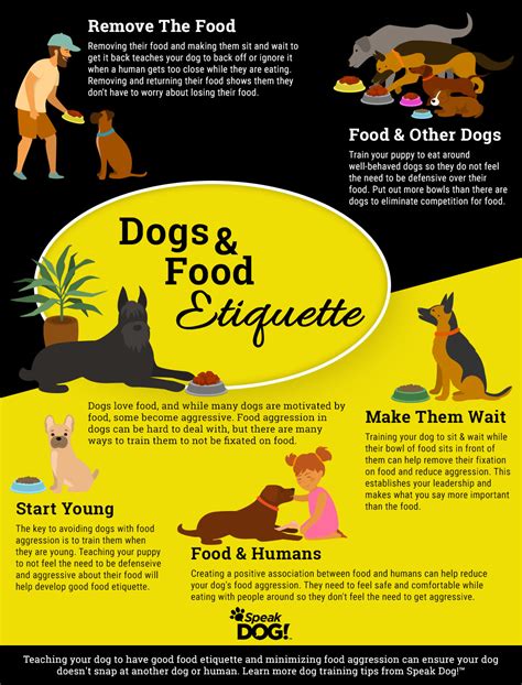 How To Train A Dog Out Of Food Aggression?