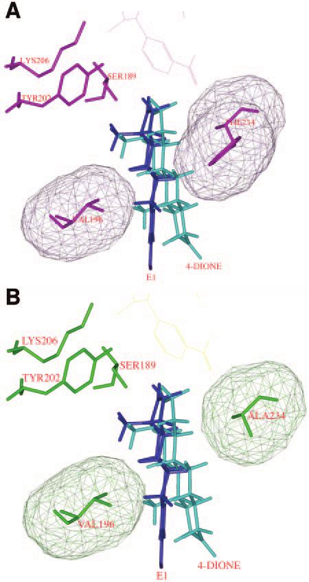 Schematic Representation of the Possible Steric Hindrance due to a ...