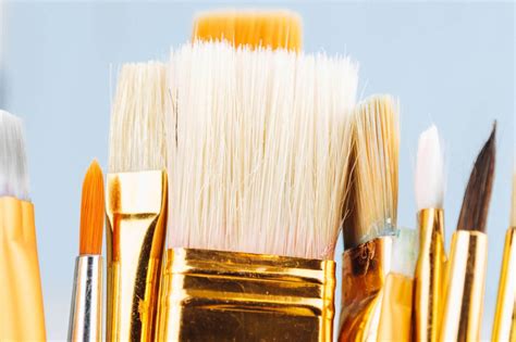 Complete Guide for Buying Best Brushes for Painting Walls | Nova Color