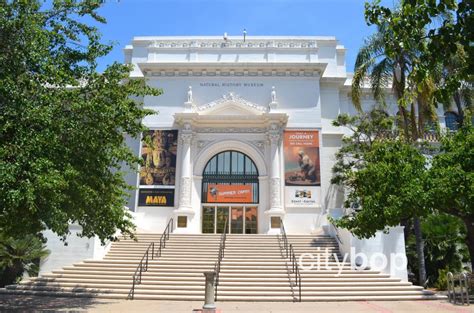 5 BEST Attractions at San Diego Natural History Museum - CityBOP