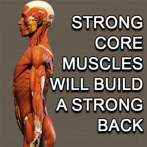 STRONG CORE MUSCLES WILL BUILD A STRONG BACK