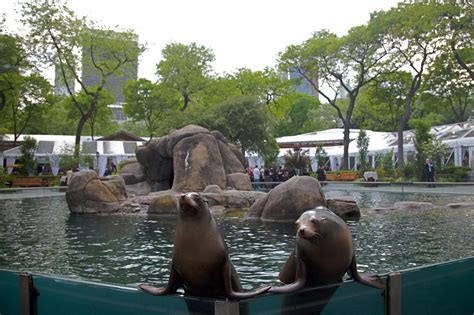 Central Park Zoo — NY Zoos & Aquarium Events & Catering