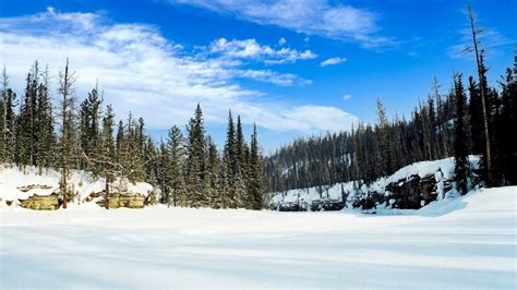 5 Frigid Facts About the Taiga, the World's Largest Terrestrial Biome ...