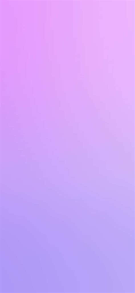 Download A Beautiful Shade Of Lilac Wallpaper | Wallpapers.com