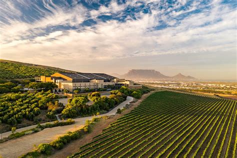 Durbanville Hills Wines - Which Wine Farm