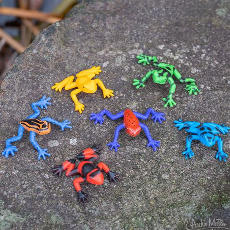 Itty Bitty Poison Dart Frogs – Archie McPhee