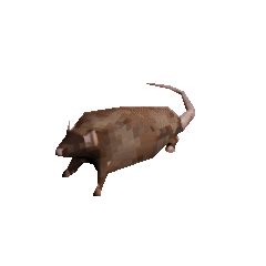 Optimized Spinning Rat | Horizontally Spinning Rat | Know Your Meme