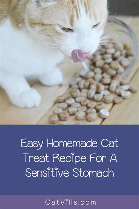 44 Homemade Cat Treats For Sensitive Stomachs Pics – See more ideas about pets, cute animals ...