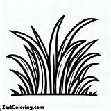 Picture Of Grass Coloring Pages  For Kids – Smart Creative sketch template