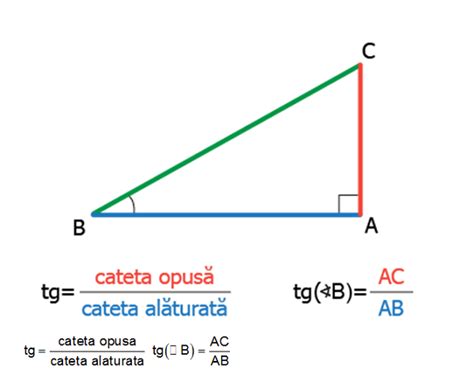 Notiuni de trigonometrie in triunghiul dreptunghic