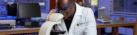 Kennesaw State's Advanced Majors Program provides support for STEM education - News