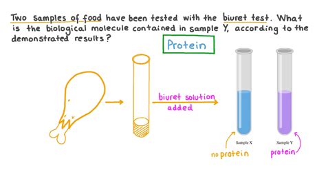 Question Video: Drawing Conclusions About Experimental Results of a ...