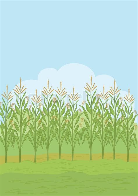 Maize fields clipart - Clipground