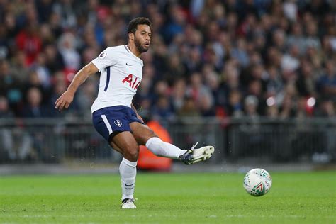 Mousa Dembele injury news: Tottenham star out with ankle problem ...