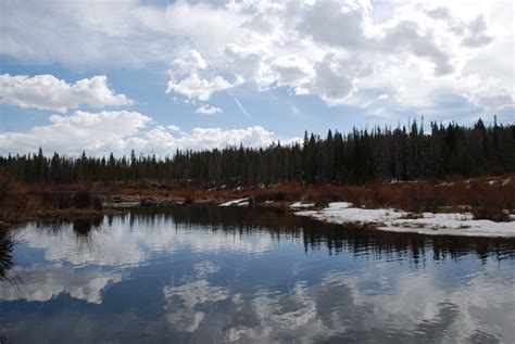 Kid Friendly Hikes in Winter Park Colorado | Visit Winter Park