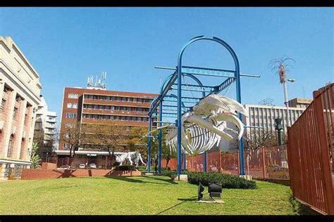 Transvaal Museum | Museums in Pretoria / Tshwane | Details | Jozikids