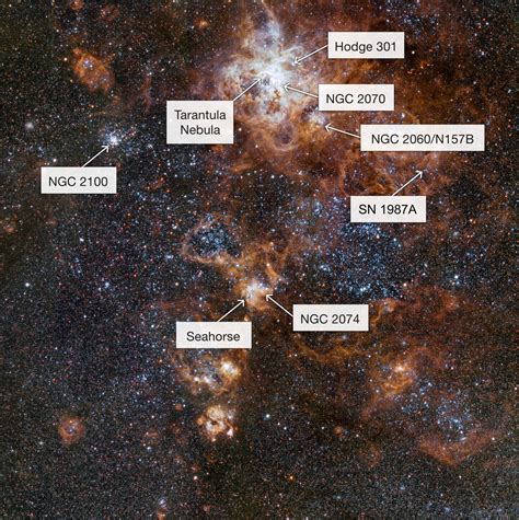 Astronomers capture exquisite view of Tarantula Nebula