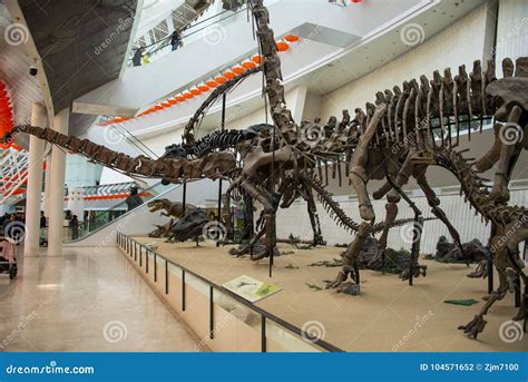 Asia, China, Tianjin, Nature Museum, Dinosaur Skeleton Editorial Photography - Image of dinosaur ...