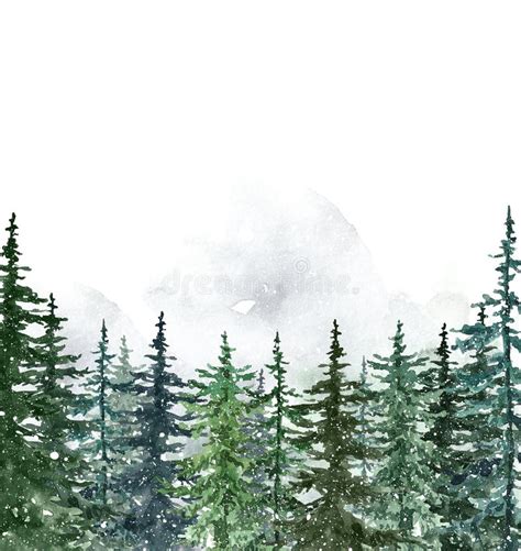 Watercolor Snowy Pine and Spruce Trees on White Background. Winter Evergreen Forest Landscape ...