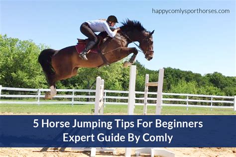 5 Horse Jumping Tips For Beginners: Expert Guide By Comly