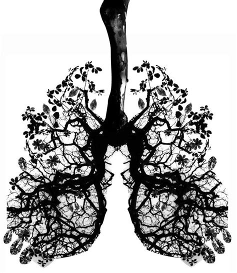 Tree / Lungs. | Lungs art, Anatomy art, Lungs drawing