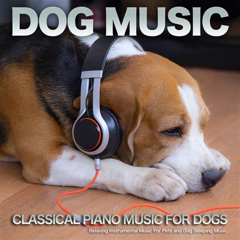 Dog Music & Sleeping Music For Dogs & Music For Dog's Ears - Morning Mood - Grieg - Dog Music ...