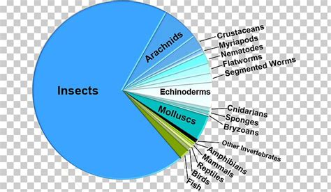 Pie Chart Insect Biology Species Diversity PNG, Clipart, Angle, Animal Diversity Web, Area ...