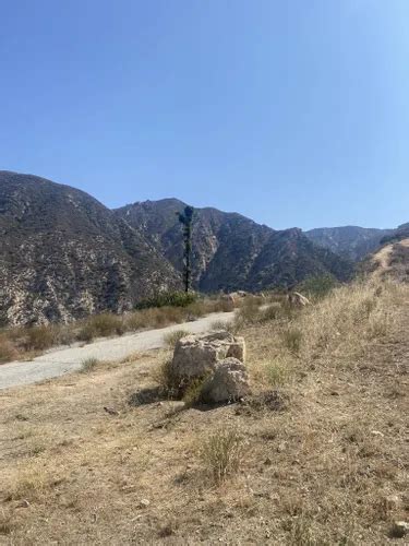 10 Best Trails and Hikes in Altadena | AllTrails