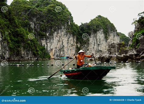 Boat Halong Bay Vietnam Coracle with Oars Editorial Stock Photo - Image of coracle, oars: 126566428