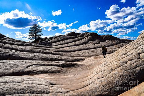 Hiking the White Pocket Photograph by Broken Soldier - Pixels