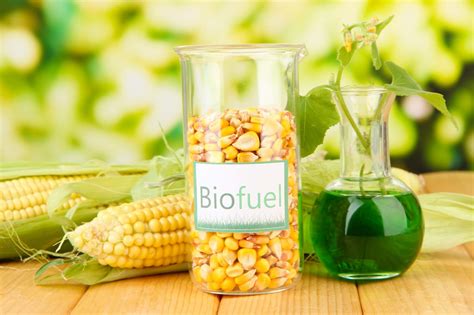 Advantages and disadvantages of biofuels - Power Knot