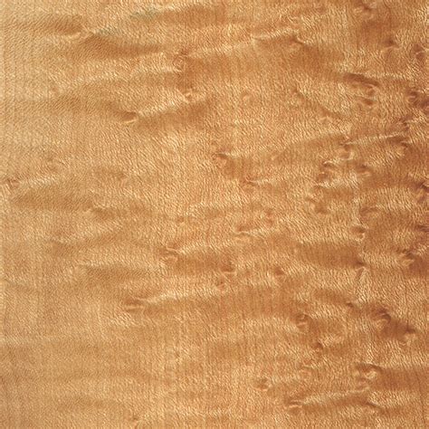 Birdseye Maple | The Wood Database - Lumber Identification (Hardwood)