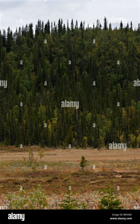 Sarek National Park Stock Photo - Alamy