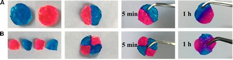 Frontiers | Advances in Synthesis and Applications of Self-Healing ...