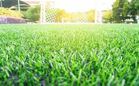 Pros & Cons of Artificial Grass - A Class Artificial Grass