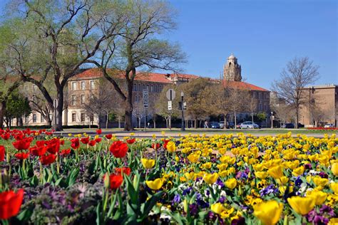 Spring on the Campus of Texas Tech | Texas tech, Texas tech campus, Campus